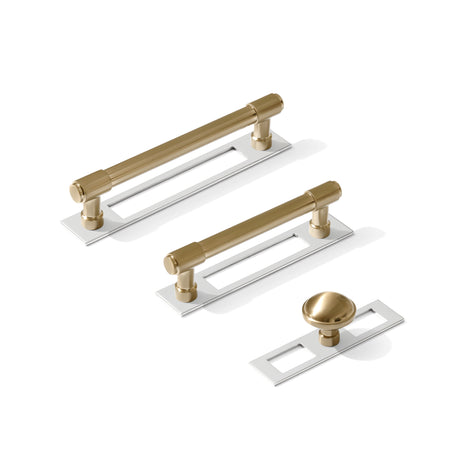 Champagne Bronze and Polished Nickel Industrial Pulls and Knob with Backplate