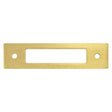 Champagne Bronze Cutout Drawer Pull Backplates - Forge Hardware Studio