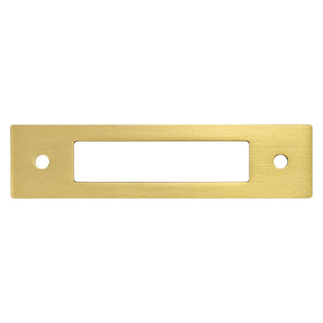 Champagne Bronze Cutout Drawer Pull Backplates - Forge Hardware Studio