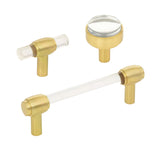 Lucite Brushed Gold "Nash" Drawer Pulls and Cabinet Knobs
