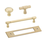Champagne Bronze Industrial Modern Pulls and Knob with Backplate