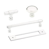 Polished Chrome Industrial Modern Pulls and Knob with Backplate