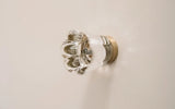Satin Brass "Magnolia" Clear Glass Cabinet Knob