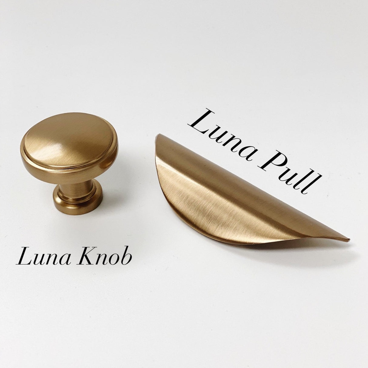 Luna Champagne Bronze Round Cabinet Knob - Forge Hardware Studio