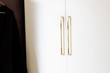 Unlacquered Polished Brass "Lumia" Cabinet Knob and  Drawer Pulls - Forge Hardware Studio